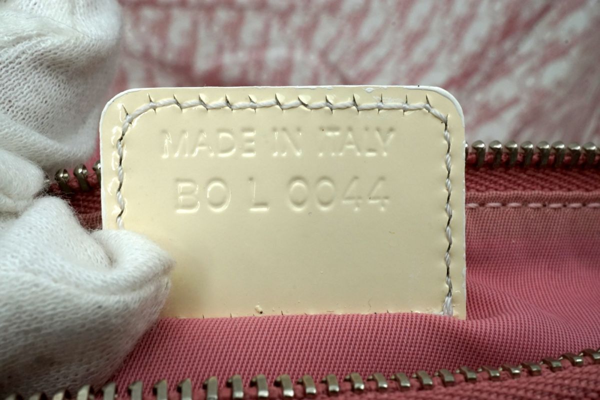 Large Dior Clear Trotter Bag