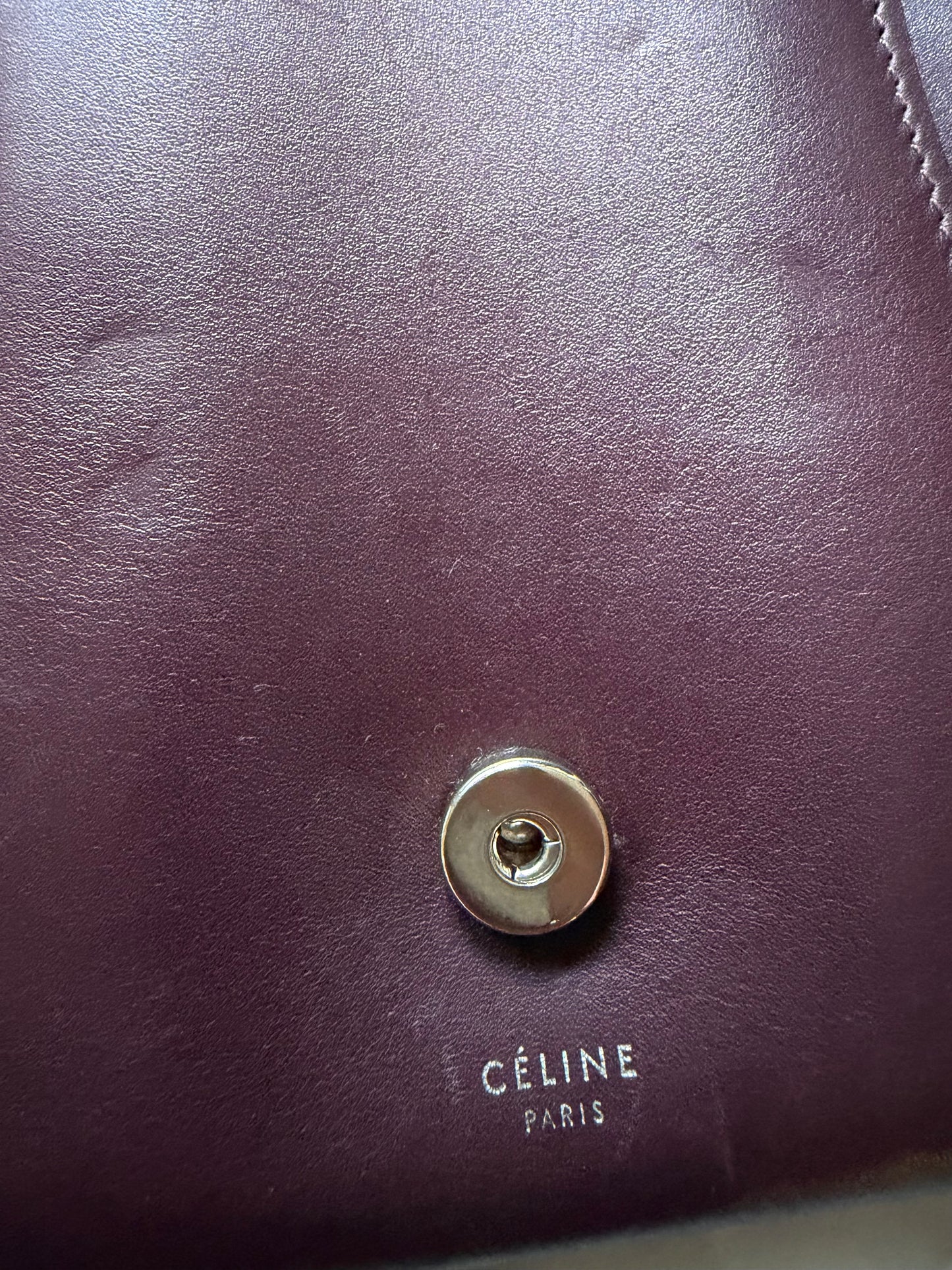 Rare Celine Curved Flap Shoulder Bag