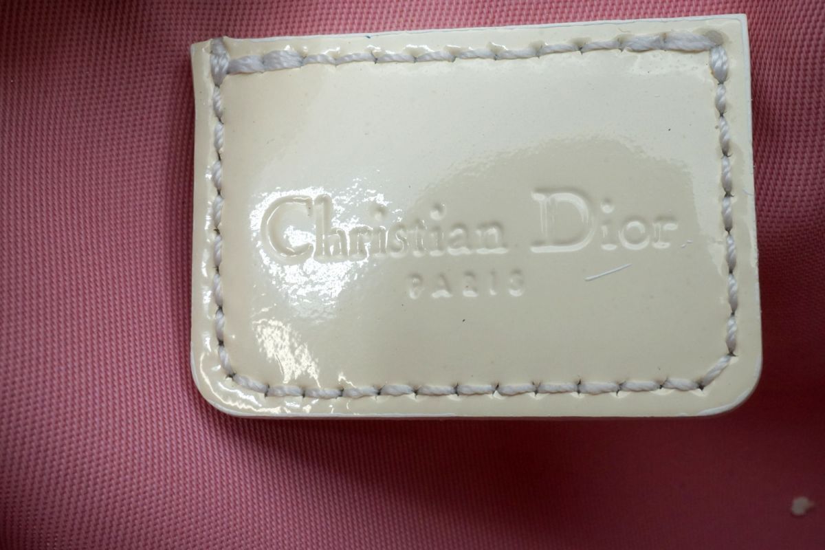 Large Dior Clear Trotter Bag