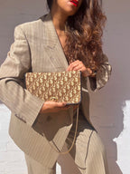 Rare Vintage Christian Dior Trotter Chain Shoulder Bag