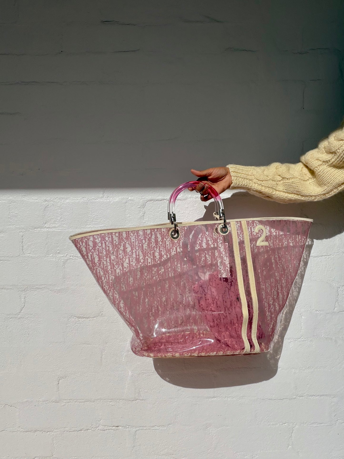 Large Dior Clear Trotter Bag