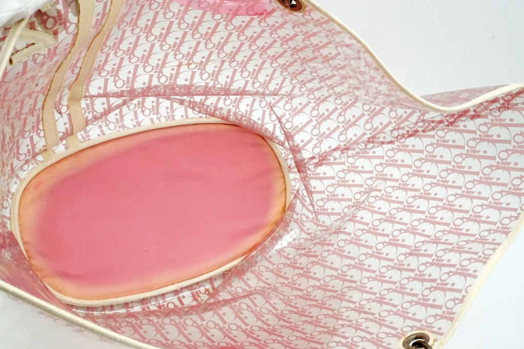 Large Dior Clear Trotter Bag