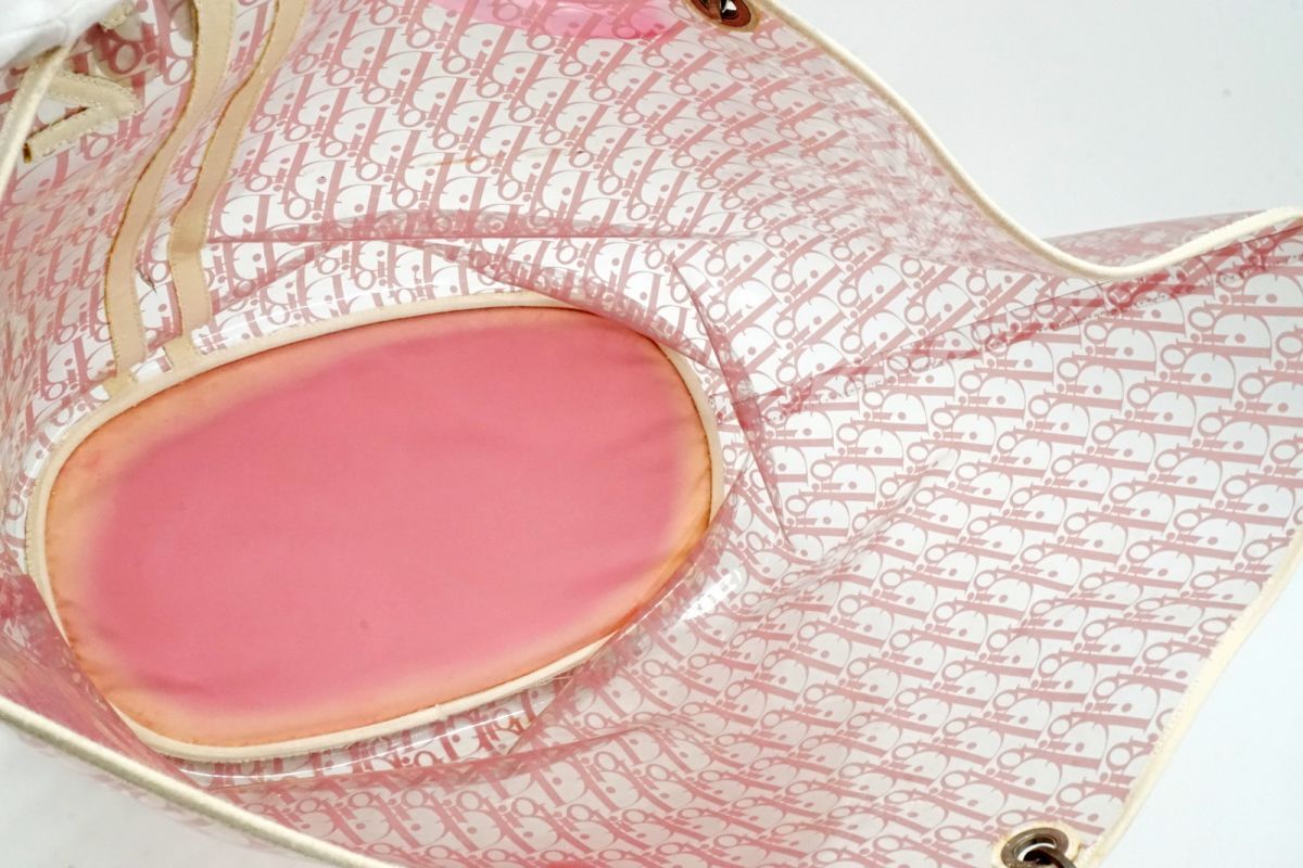Large Dior Clear Trotter Bag
