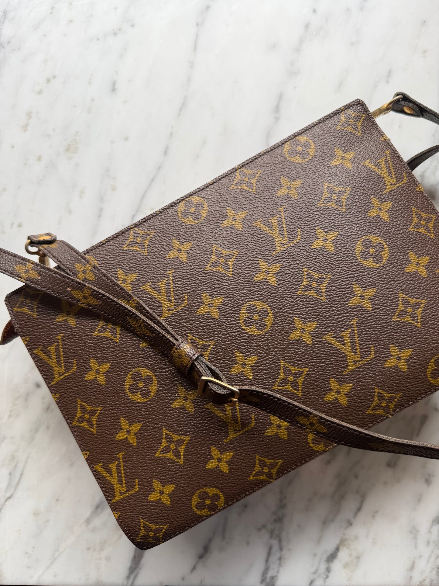 Louis Vuitton Enghien leather handbag
