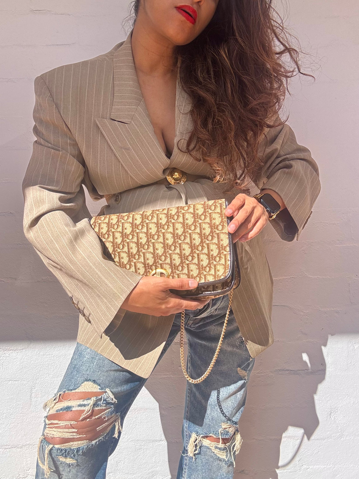 Rare Vintage Christian Dior Trotter Chain Shoulder Bag