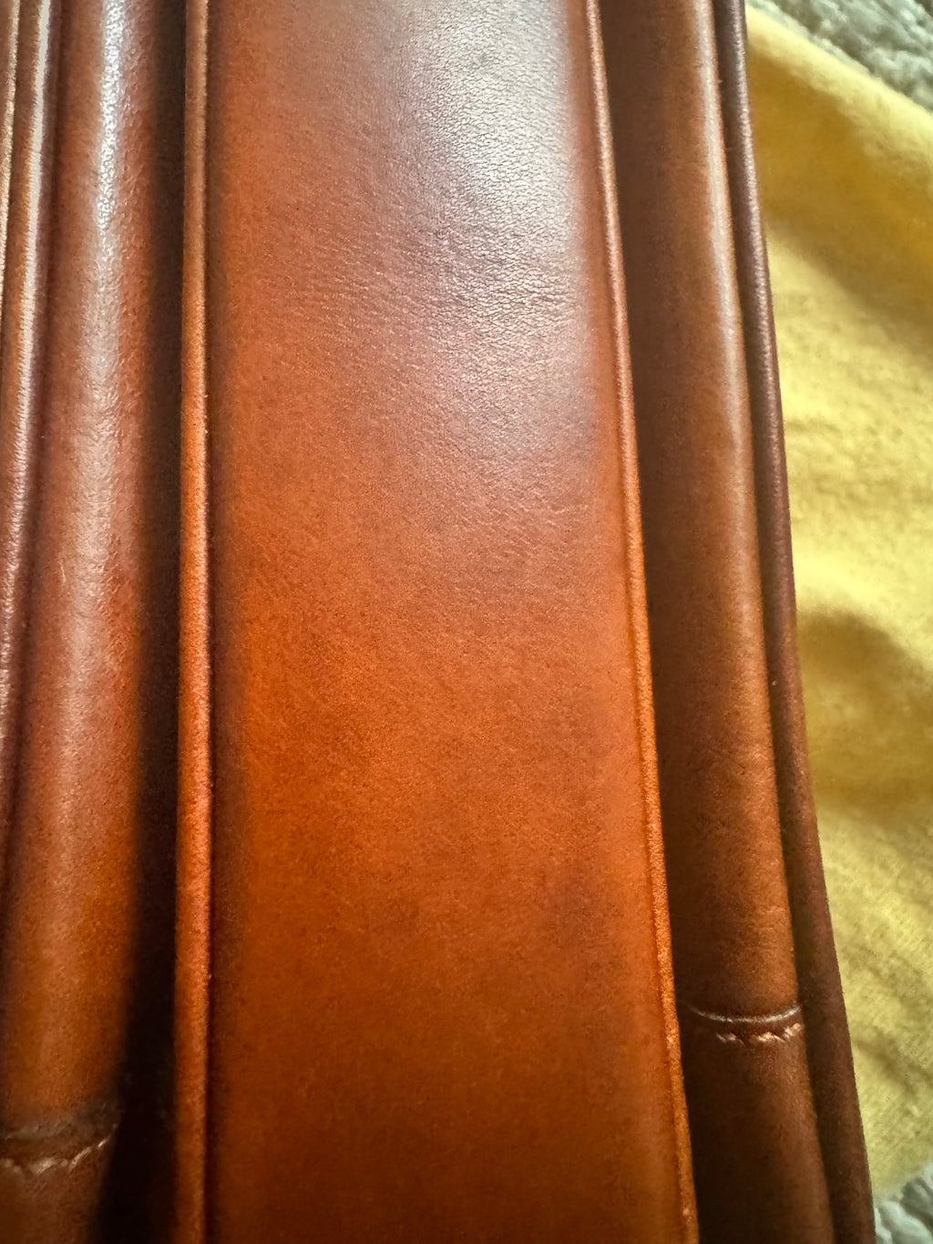 Rare Authentic Vintage Celine Triomphe Bag