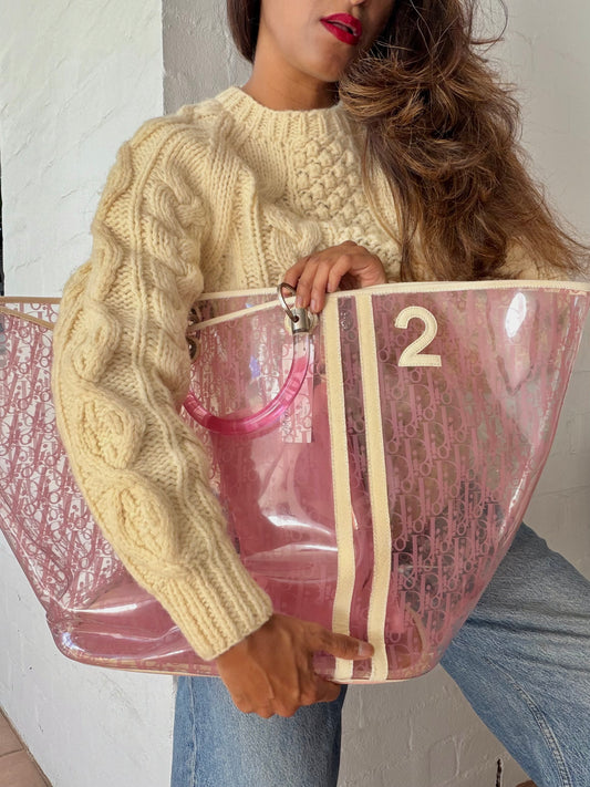 Large Dior Clear Trotter Bag