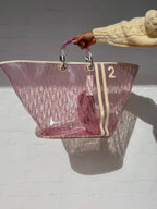 Large Dior Clear Trotter Bag