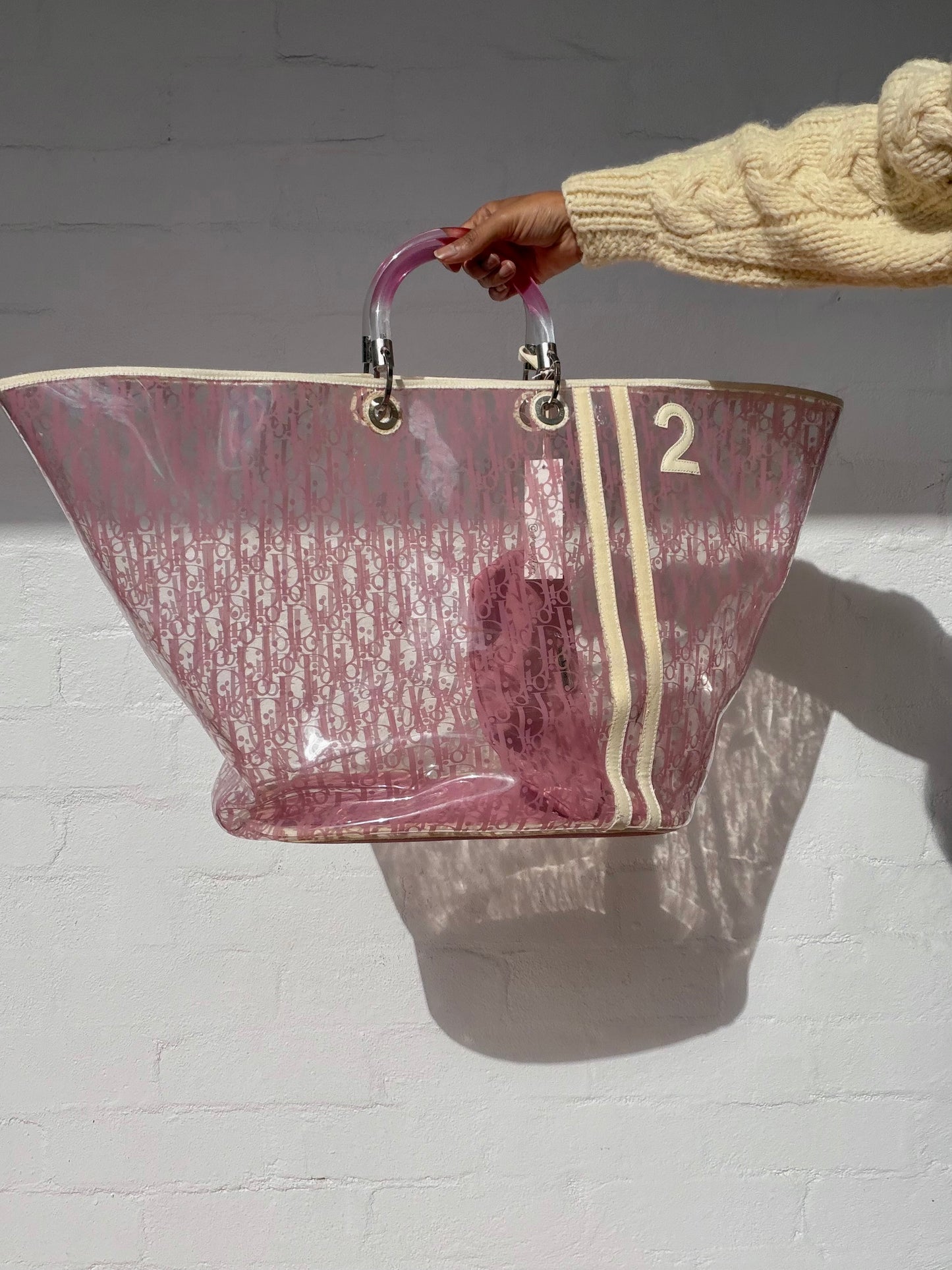 Large Dior Clear Trotter Bag