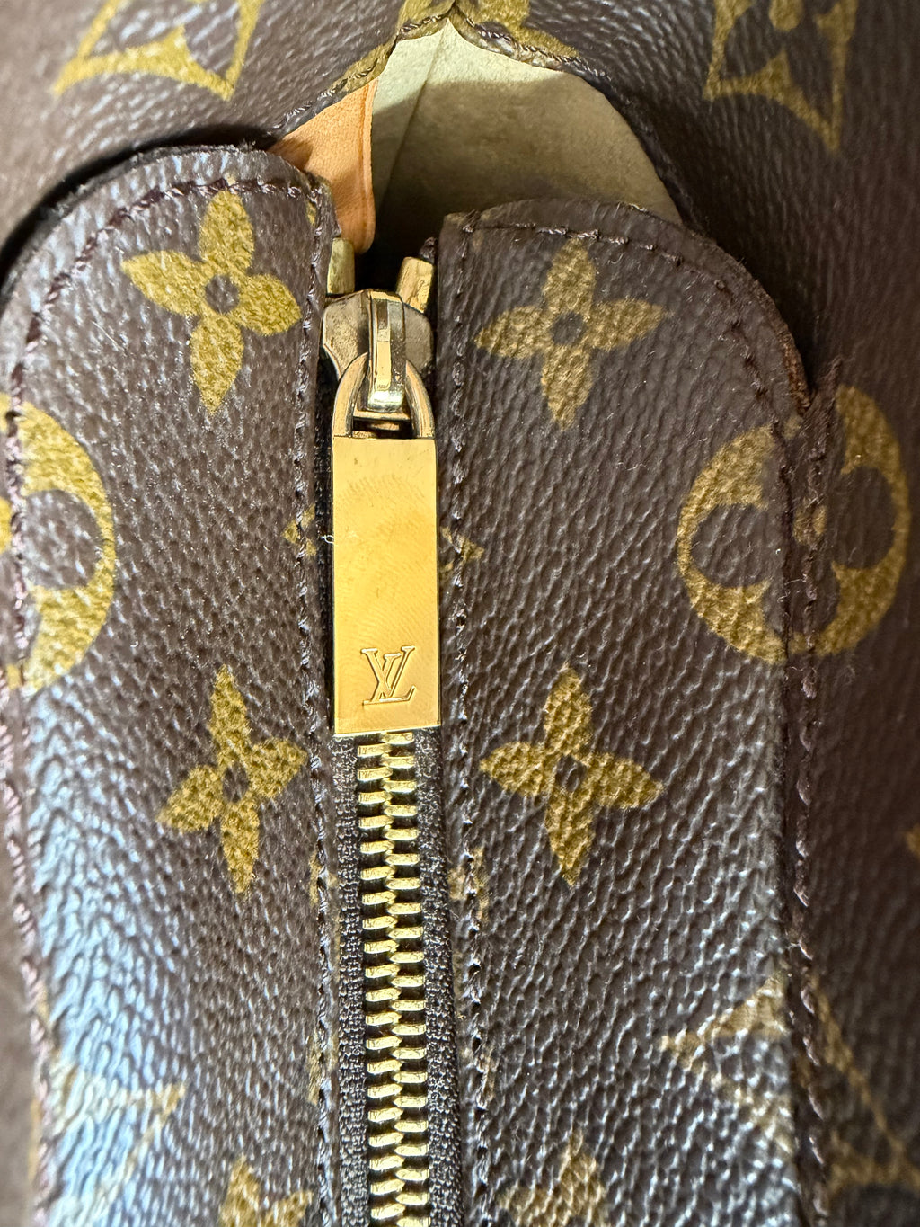 Louis Vuitton Luco Tote